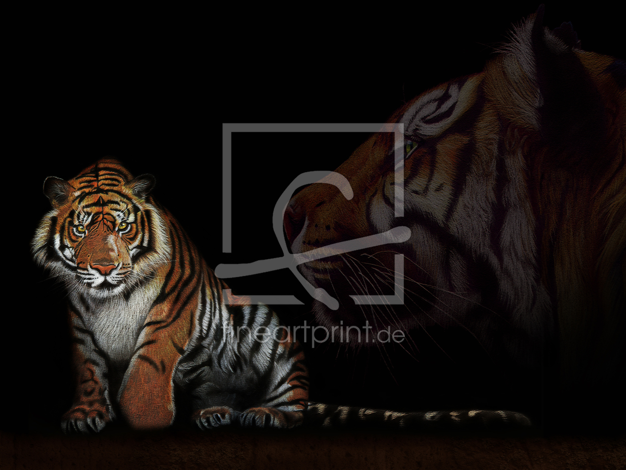 Bild-Nr.: 10337177 Farbstiftzeichnung Tiger love 1 erstellt von Mausopardia