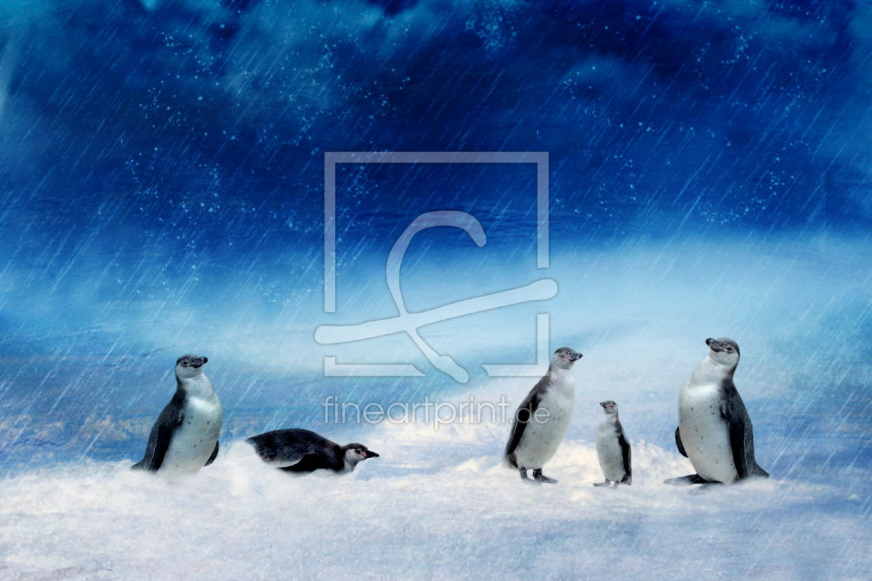 Bild-Nr.: 10642684 Pinguinfamilie  erstellt von Heike  Hultsch