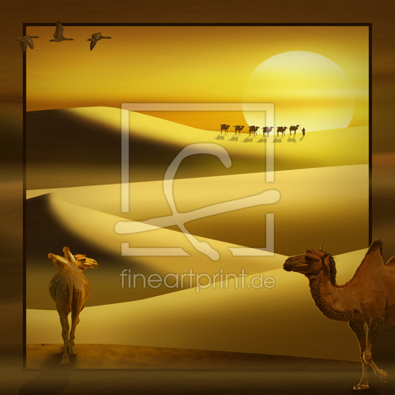 Bild-Nr.: 11340986 Rein in die Wüste, Variante 2 quadratisch erstellt von Mausopardia