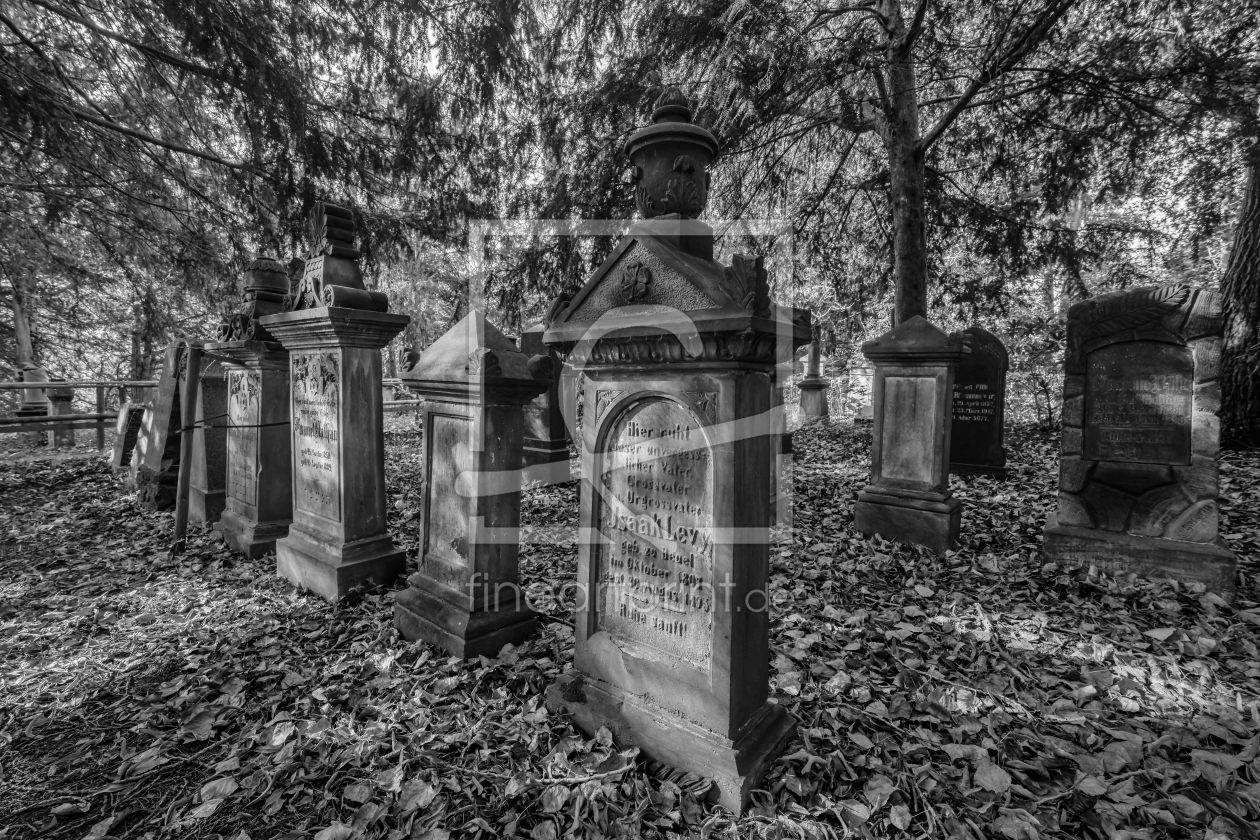 Bild-Nr.: 12806914 Versteckter historischer Friedhof erstellt von volker heide