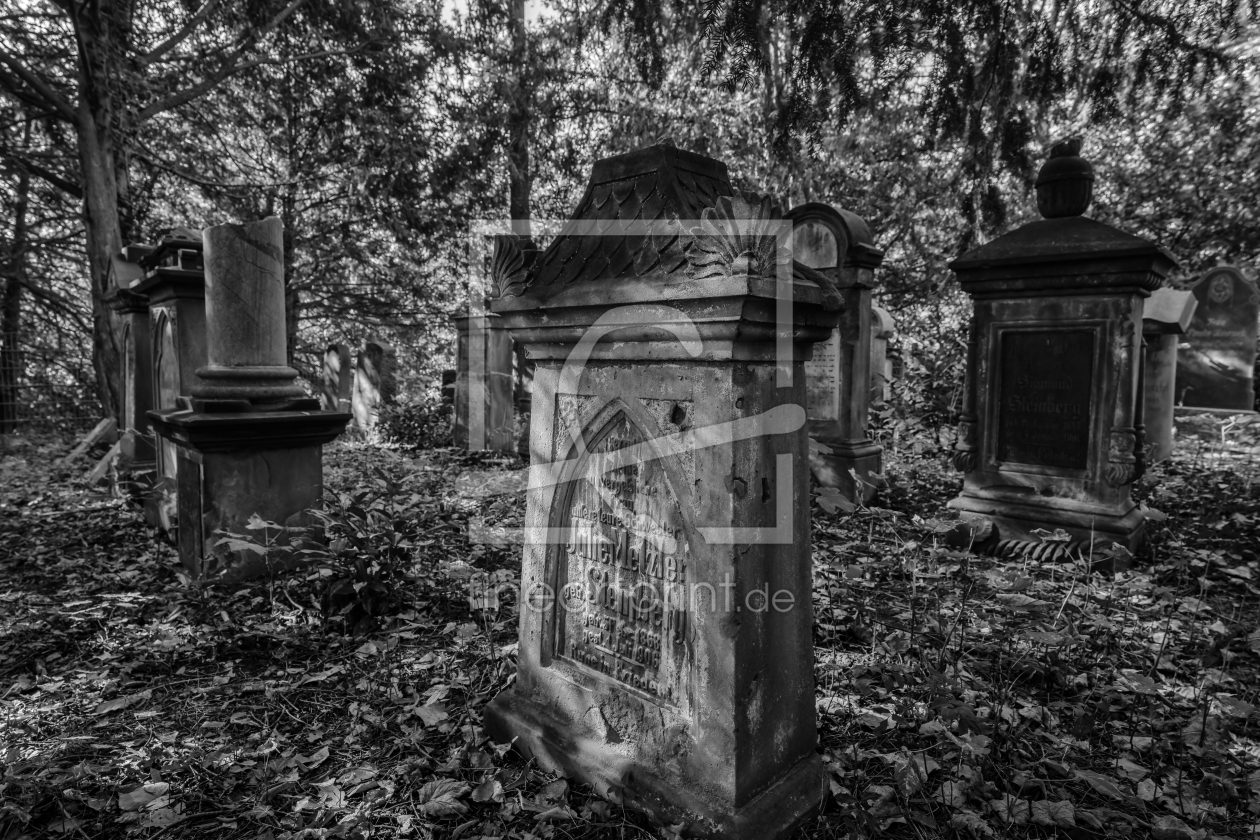 Bild-Nr.: 12806915 jüdischer Friedhof im Wald erstellt von volker heide