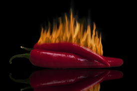 burning chili/9813564