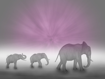 Bild-Nr: 10287001 Elefanten Erstellt von: gabiw-art