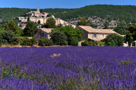 Bild-Nr: 10695917 Banon Provence Erstellt von: KundenNr-160338