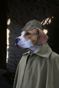 Bild-Nr: 10701445 Sherlock Dog - Der Hund von Baskerville Erstellt von: stoerti-md