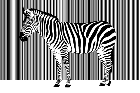 Bild-Nr: 10775275 Zebra Barcode einzelnd Erstellt von: Mausopardia