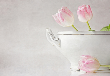 Bild-Nr: 10820319 soupe de tulipes Erstellt von: Vereinigung-Emotional-Expressionisten