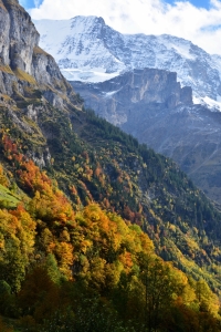 Bild-Nr: 11148404 alpiner Herbst Erstellt von: Bettina Schnittert
