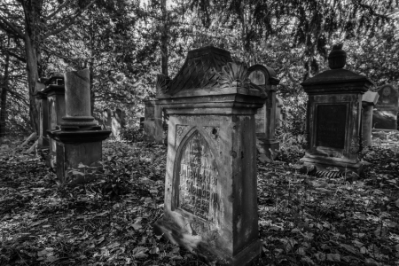 Bild-Nr: 12806915 jüdischer Friedhof im Wald Erstellt von: volker heide